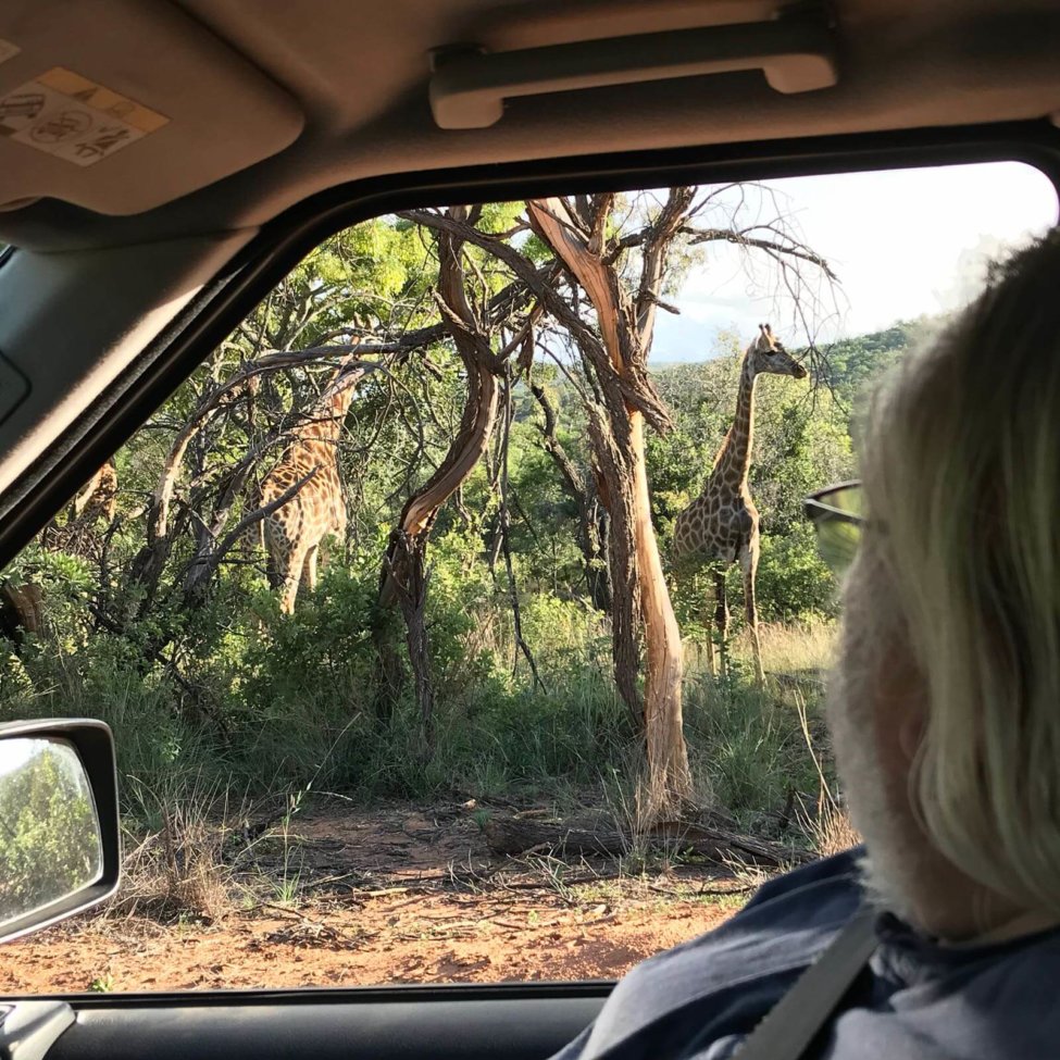 Destri Villa Galerie